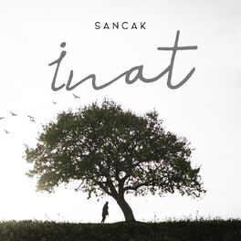 Album cover of İnat