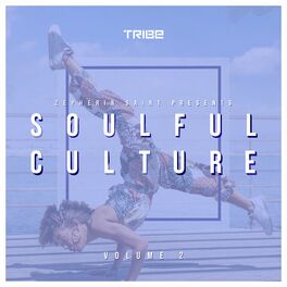 Album cover of Zepherin Saint Presents Soulful Culture, Vol. 2
