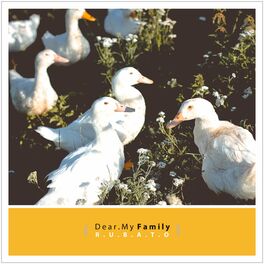 Album cover of Dear My Family