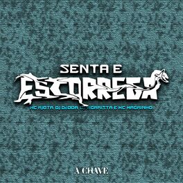 Album cover of Senta e Escorrega