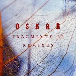 Album cover of Fragments (Remixes)