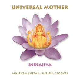 Album cover of Universal Mother