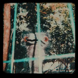 Album cover of Captivity
