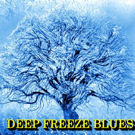 Album cover of Deep Freeze Blues