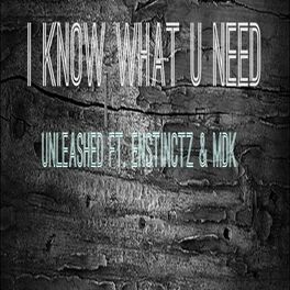 Album cover of I Know What U Need (feat. Enstinctz & Mdk)