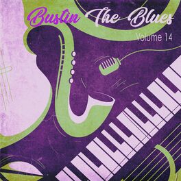 Album cover of Bustin the Blues, Vol. 14