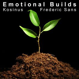 Album cover of Emotional Builds
