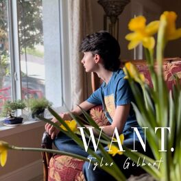 Album cover of Want.