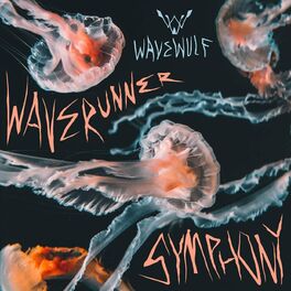 Album cover of Waverunner Symphony