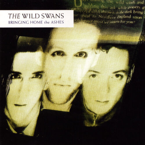 The Wild Swans - Bringing Home The Ashes: lyrics and songs | Deezer