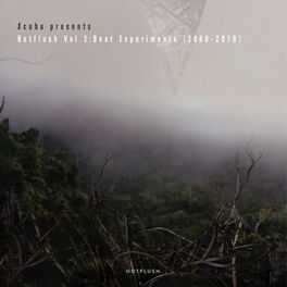 Album cover of Hotflush, Vol. 3: Beat Experiments (2008 - 2010)