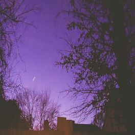 Album cover of Purple Skies