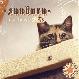 Album cover of Sunburn (Remix)