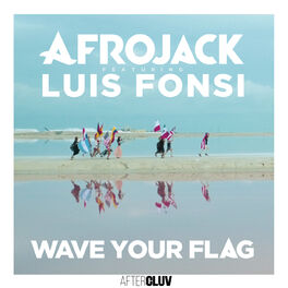 Album cover of Wave Your Flag