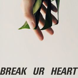 Album cover of Break Ur Heart