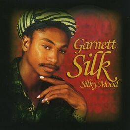 Album cover of Silky Mood