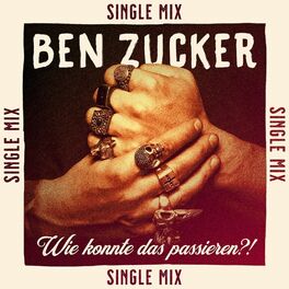 Album cover of Wie konnte das passieren?! (Single Mix)