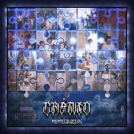 Album cover of Insanamente