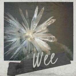 Album cover of Wee