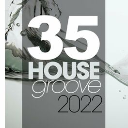Album cover of 35 House Groove 2022