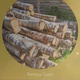 Album cover of Thinning Quoin