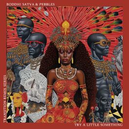 Album cover of Try A Little Something (Ancestral Soul Mixes)