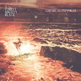 Album cover of Chemical / Physical