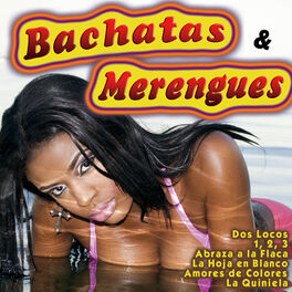 Album cover of Bachatas & Merengues