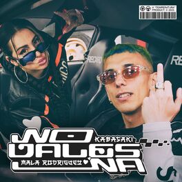 Album cover of No Vales Na