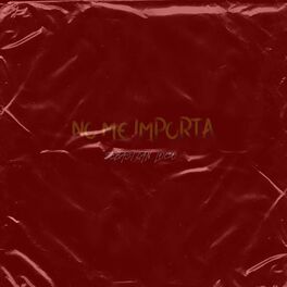 Album cover of No Me Importa