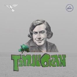 Album cover of Hayal Olmuşsun