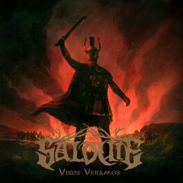 Album cover of Viros Veramos