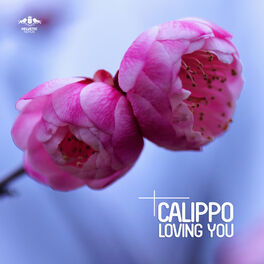 Album cover of Loving You