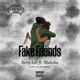 Album cover of Fake Friends