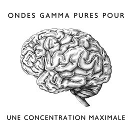 Album cover of Ondes gamma pures pour une concentration maximale
