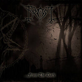 Album cover of …from the Dark