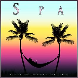 Album cover of Spa: Relaxing Background Spa Bath Music for Stress Relief