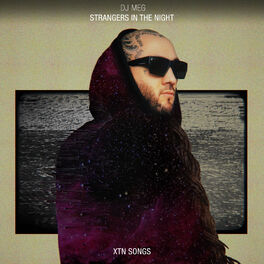 Strangers In The Night LP