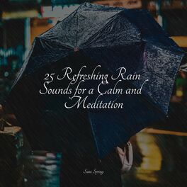 Album cover of 25 Refreshing Rain Sounds for a Calm and Meditation