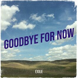 Album cover of Goodbye for Now
