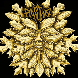 Album cover of Gravis Atque Gravior