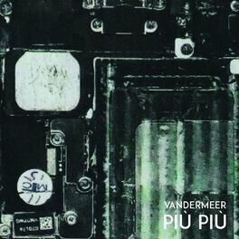 Album cover of Più Più
