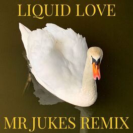Album cover of Liquid Love (Mr Jukes Remix)