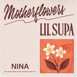 Album cover of NINA