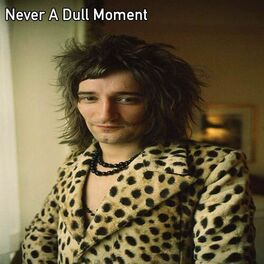 Album cover of Never A Dull Moment