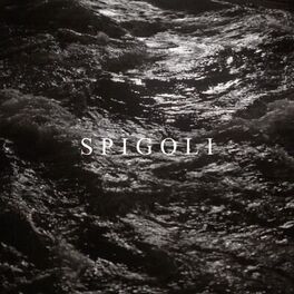 Album cover of Spigoli (feat. Franco126 & Ugo Borghetti)
