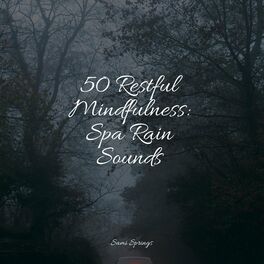 Album cover of 50 Restful Mindfulness: Spa Rain Sounds