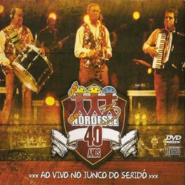 Album cover of 40 Anos - Ao Vivo no Junco do Seridó