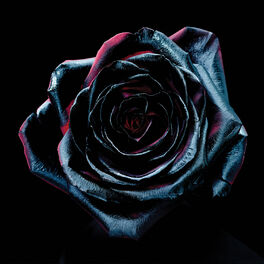 Album cover of Change Colours