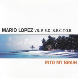 Album cover of Into My Brain